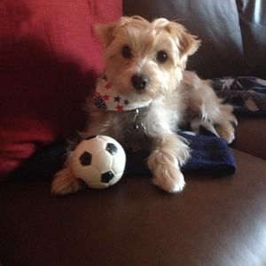 Meet your Posher, Mary